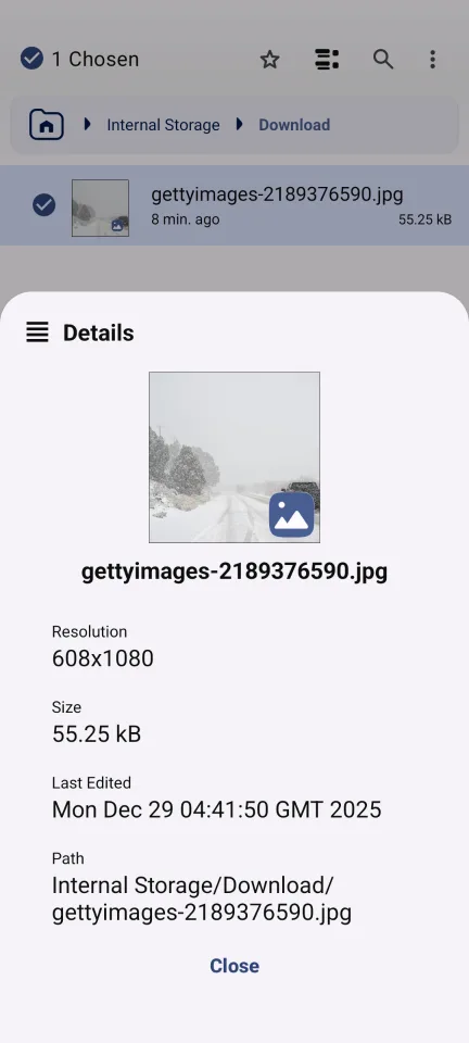 Advanced File Manager — File details panel